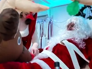 Miss Miranda – A Christmas Photo Tale